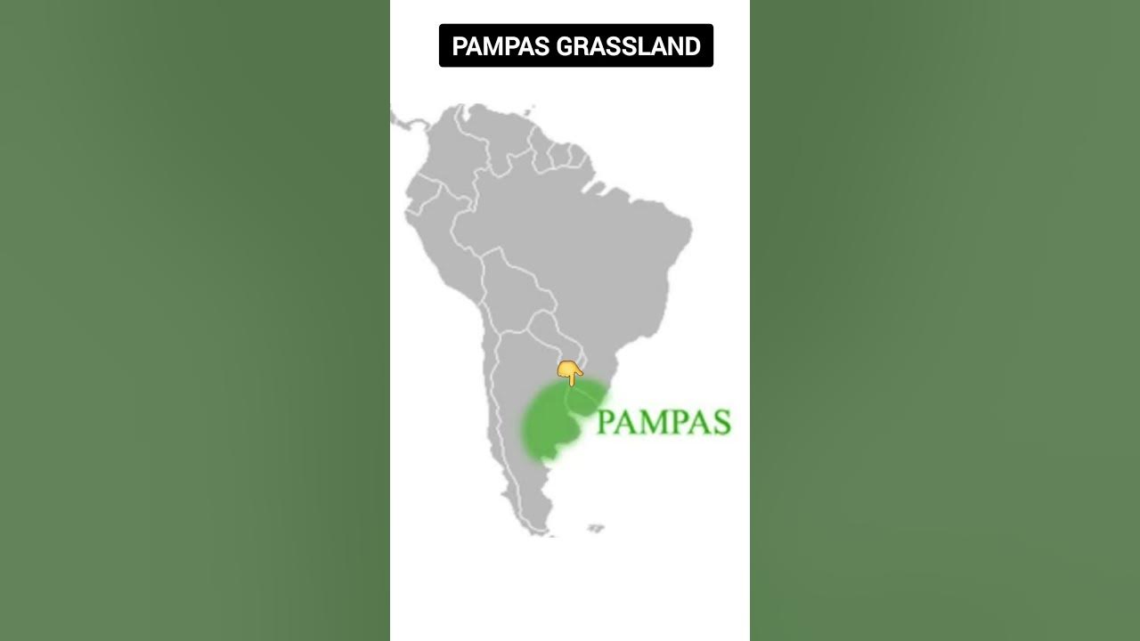 pampas grassland in map of South America YouTube