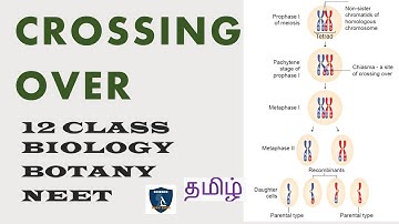 Crossing Over in Tamil | Chromosomal Basis of Inheritance | Botany I Class 12 | TNSCERT | NEET