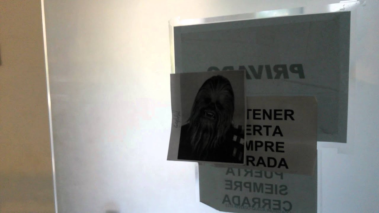 Chewbacca door
