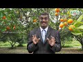 Class 9 English Unit 4 Poem Seventeen Oranges Kalvi TV