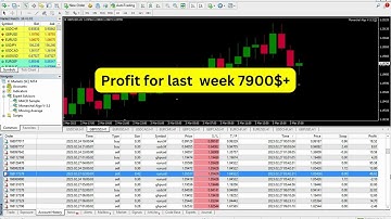 7,900 $ Profit in a Week with Less Than 3% Drawdown: Our EA Proves its Success #forex #ea #mt4 #mt5