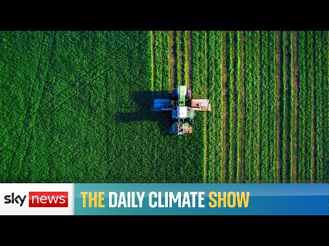 Would gene editing of crops be good for the planet?.