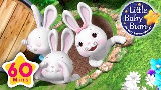 bunny hop hop plus lots more nursery rhymes 60 minutes compilation from littlebabybum