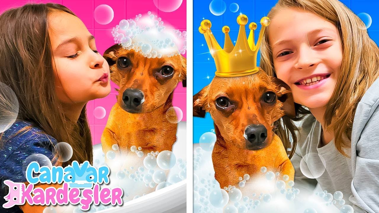 Köpek banyosu nasıl yapılır? Canavar Kardeşler Panço'ya banyo yaptırıyorlar. Çocuk videoları