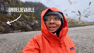 168 Hour Alaskan Cruise|Hiked A Bear Trail To See This 😳|Part 2