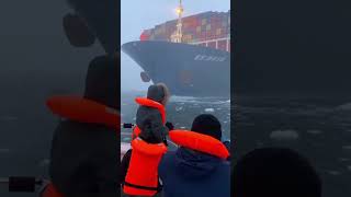 Massive Cargo Ship Passing Through Icebergs 😱🚢 | Dangerous Ocean Journey #shorts #shortsviral #short