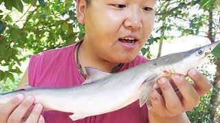 Steamed Shark - QiJie Wild Food