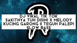 DJ VIRAL TIK TOK SAKITNYA TUH DISINI X MELODY KUCING GARONG || TEGUH PALEPI || FULL BASS !!!