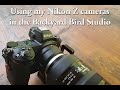 Using the Z7 for Backyard Bird Photography