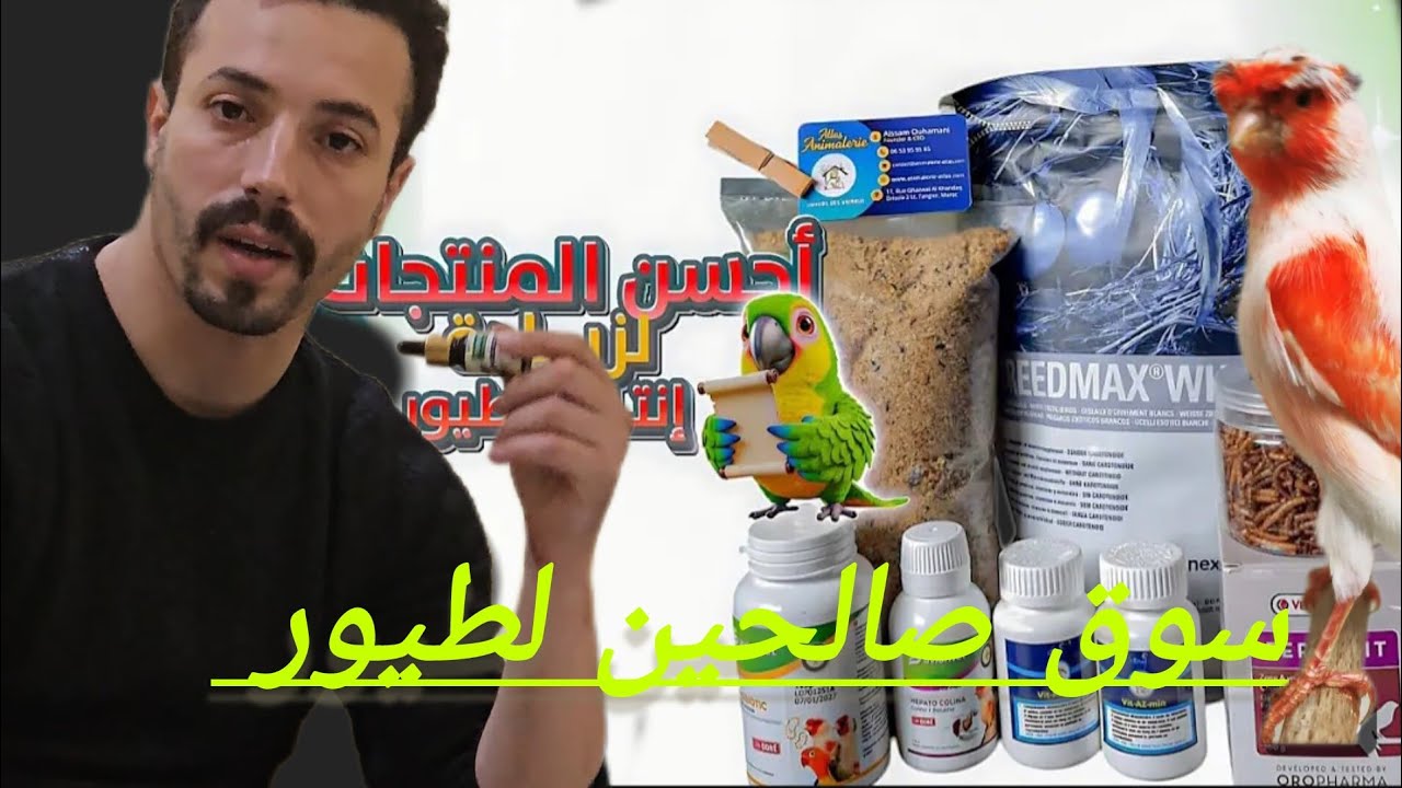 سوق صالحين لطيور دوار بمدينة سلا يوم الأحد أثمنة جميع طيور زينة و مغردة فرجة ممتعة #كناري #كوكتيل