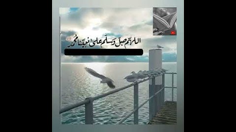 تلاوة خاشعة وآية مباركة من سورة الأحزاب📚/القارئ ياسر الدوسري/حالات واتس اب
