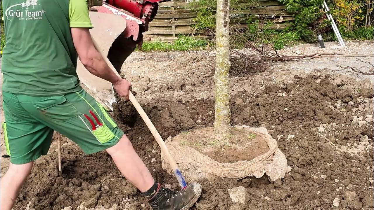 Grün Team GardenLife Reutlingen Wir suchen Facharbeiter YouTube