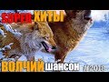 Волчий Шансон - Лучшее..избранное.. легендарное! #2018