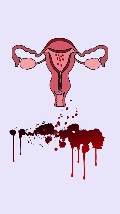 Why Your Period Blood Changes Color 🩸 | What It Actually Means