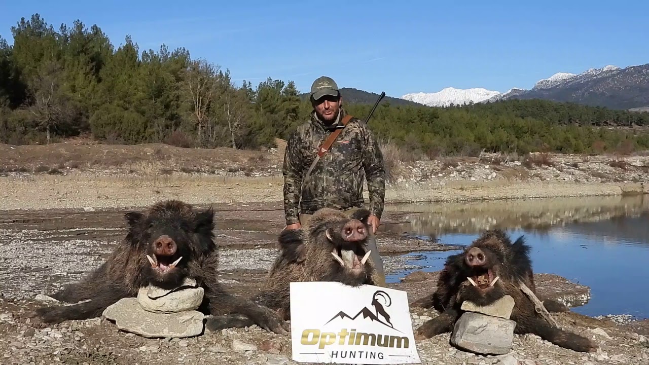 Miguel from Spain hunting wild boar in Turkey | Optimum Hunting