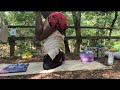 FLEXI FRIDAY! arm inversions training and middle splits work ❤️