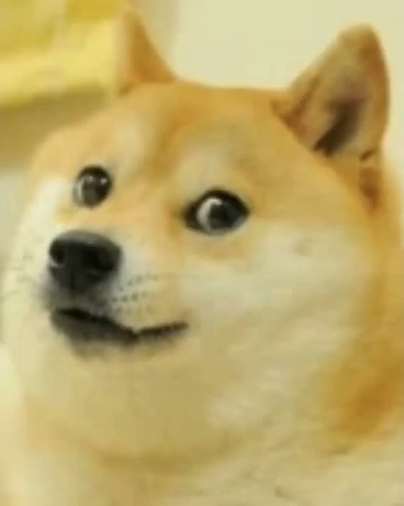 download link in description|cheems|dogesh|#shorts
