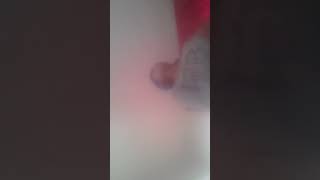 Eu A Helenita Dançando Pra Você