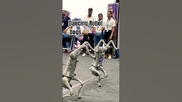 Robot Dog Dancing 🕺🏻/ Unitree Go2 #robodog #future #robotics