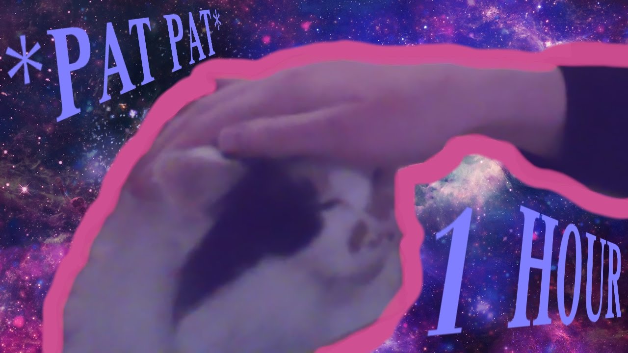 Pat pat the cat 1 HOUR YouTube