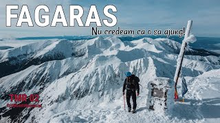 MUNTII FAGARAS | Vf.Negoiu, Cabana Negoiu (TMR02) screenshot 3