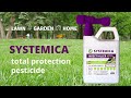 Introducing systemica