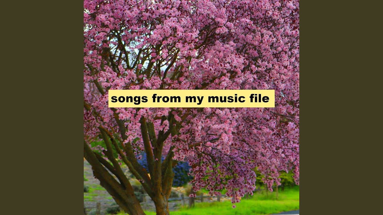 A Song I Made Last Summer