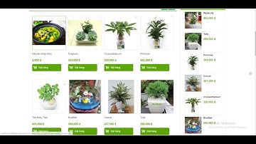 Hướng dẫn đọc hiểu báo cáo đồ án website  bán cây cảnh online php mô hình mvc 2020