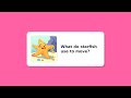 Fun Kids FASCINATING UNDERWATER CREATURES Quiz for Kids! 🦁