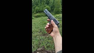 Tisaş Zig 14 Tisaş Xınıs Mezra Tabanca Atışı