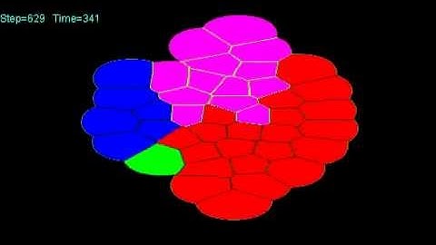 OpenCL with Matrix Studio simulation of a cell tissue growth