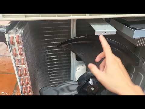 Video thực tế