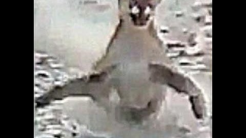 Black Mesa Sounds Replacement (Menu And Items)