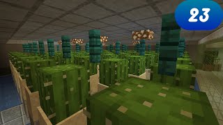 I Made A Cactus, A Pumpkin And A Melon Farm! (Minecraft Unnamed EP23)