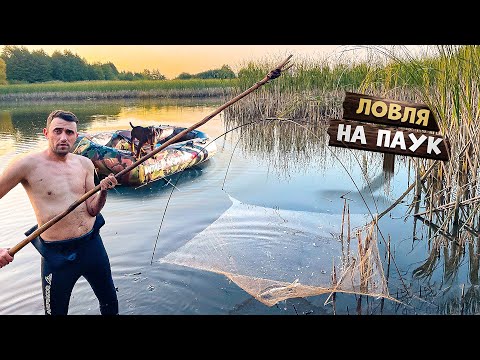 Видео: Рыбалка Изобретательностью: Ловля Руками и Пауками