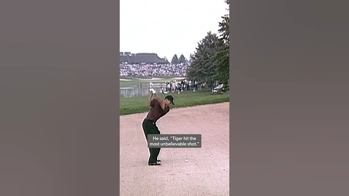 Is this Tiger's BEST shot ever? 🐅