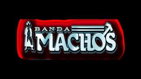 Banda Machos   No soy monedita de oro