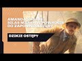 Horror w Arkham LCG - Powrót do Zapomnianej Ery - Scenariusz pierwszy "Dzikie ostępy"