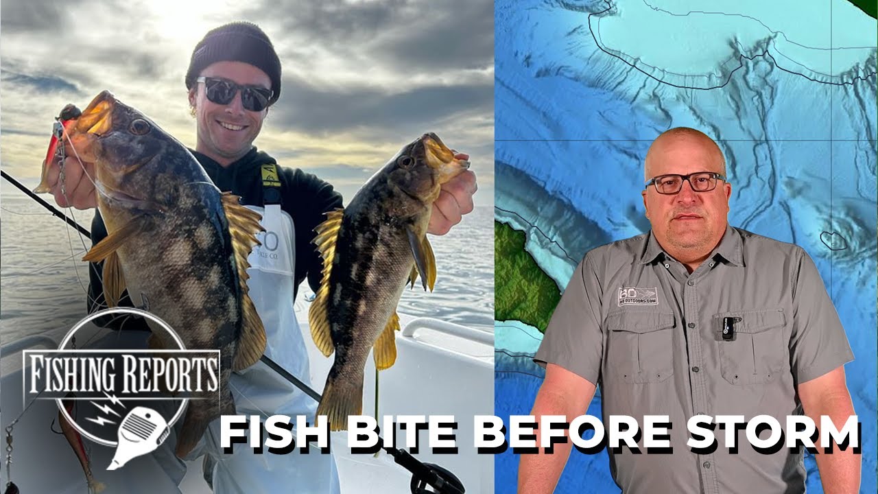 Southern California Bight FISHING REPORT 2/1/2024 