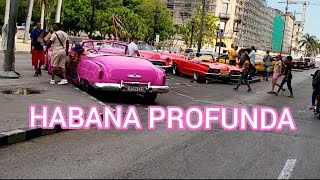 Download Lagu La Habana Profunda #cuba ##cubaviajes #Habana #havana #lahabana #cubanos MP3 Download Lagu La Habana Profunda #cuba ##cubaviajes #Habana #havana #lahabana #cubanos MP3
