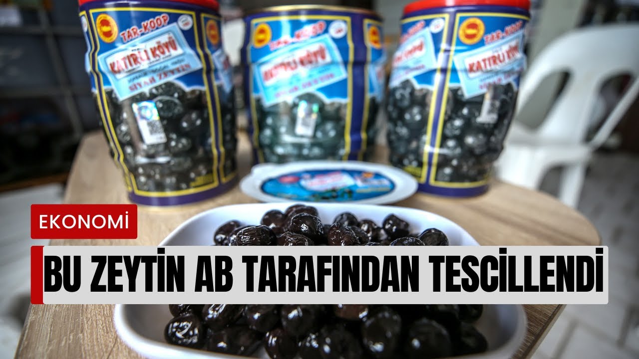 Gemlik Zeytini AB Tarafından Tescillendi!