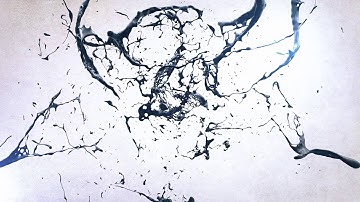 Splash Color Logo Reveal v3