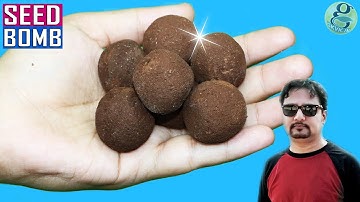 Seed Bombs aka Seed Balls or Earth Balls - DIY School Project in Gardening