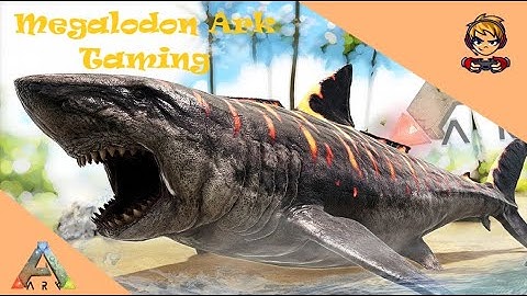 ARK Beginners Guide - How To Tame Your First Megalodon! | Ark Easy Taming Tip & Trick