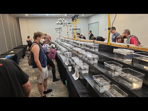 AKA 2026 Show Room Walk Through