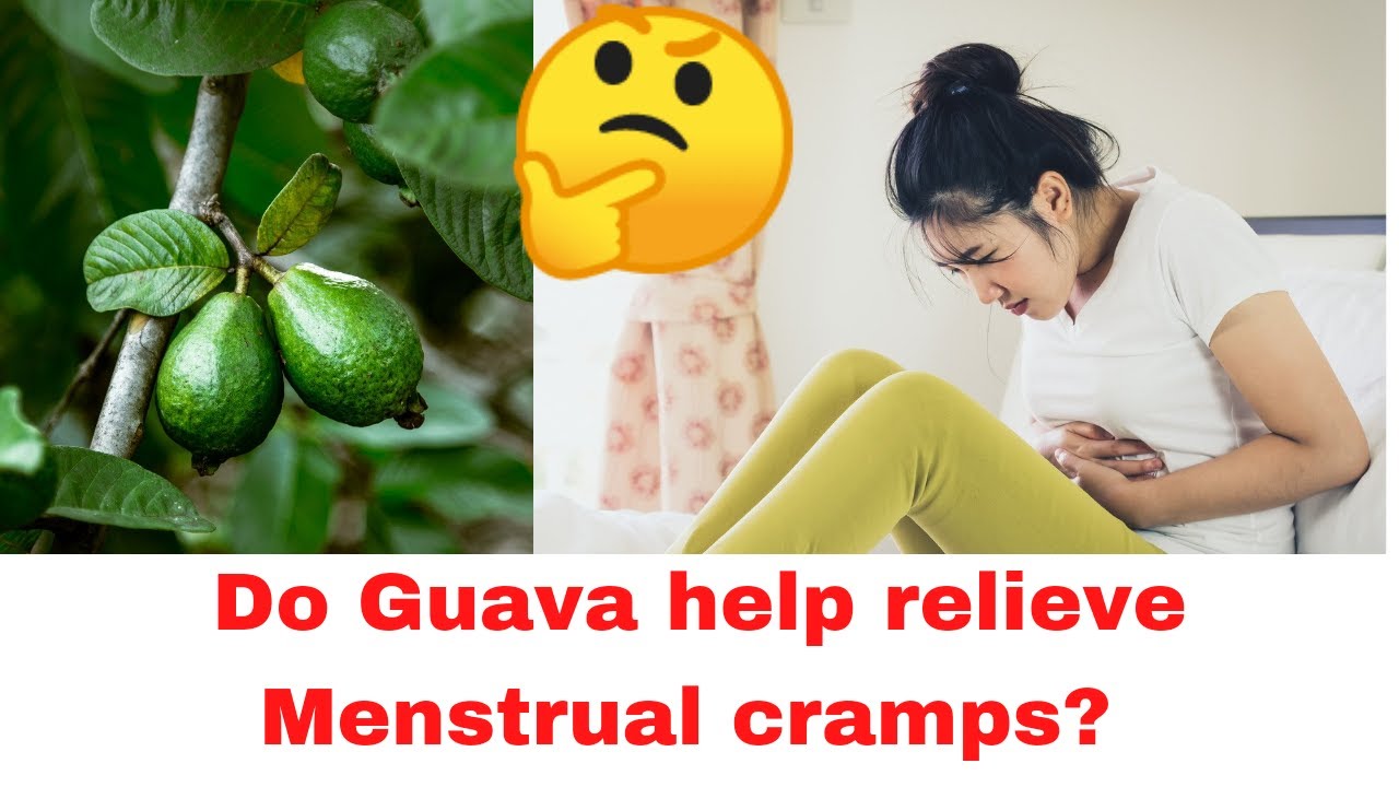 Guava Leaves benefit Menstrual Cramp Remedy Menstrual cramps relief