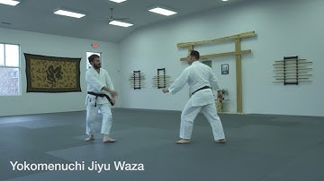 USAF Ikkyu (1st Kyu) Test Requirements