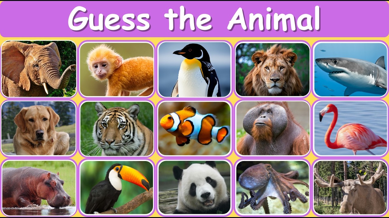 Guess the Animal 🐾 | Fun Animal Clues Game for Kids - YouTube