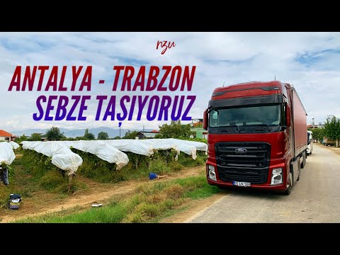 Bağdan Üzüm Sardık / İkametgah Meselesi / Bolu Dağı Rampası / ANTALYA - TRABZON SEFERİ