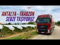 Bağdan Üzüm Sardık / İkametgah Meselesi / Bolu Dağı Rampası / ANTALYA - TRABZON SEFERİ